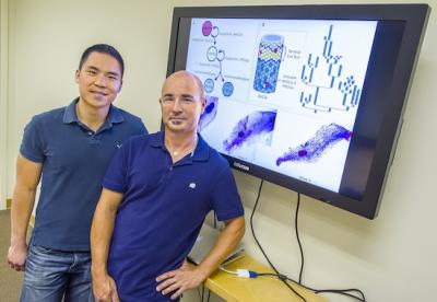 Sylvain Costes and Jonathan Tang, Lawrence Berkeley National Laboratory 