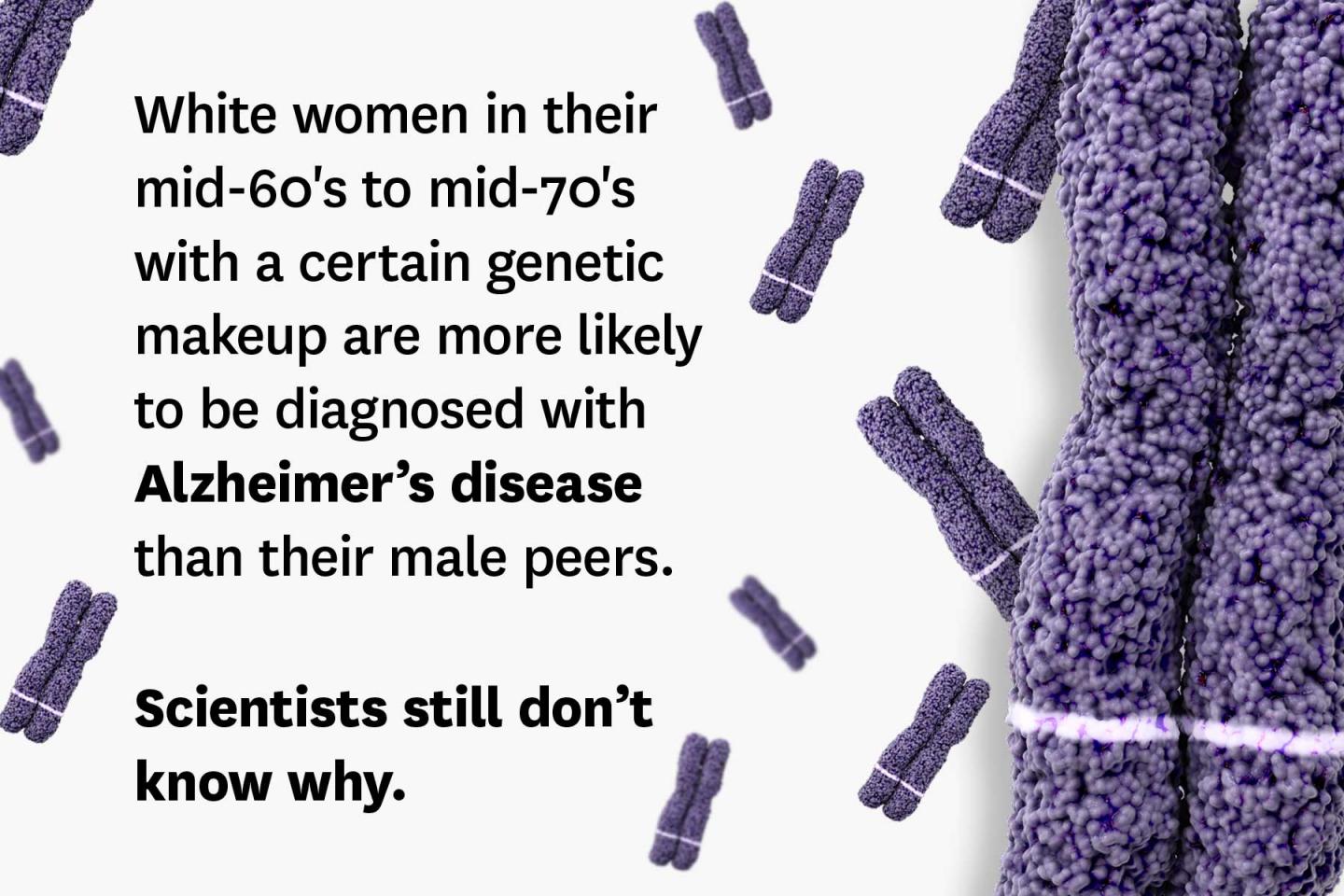 White Women's risk of Alzheimer's