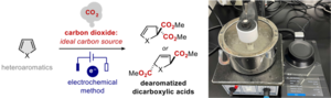 General process and reaction setup for electrochemical dicarboxylation