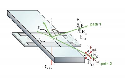 MyoV Stepping Across Actin