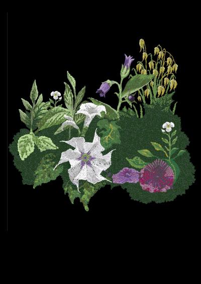 Plant-based medicines meet biotechnology