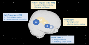 How space travel influences the way the brain works