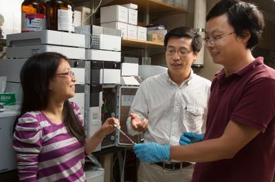 Haiyan Ren, Lei Wang and Zheng Xiang, Salk Institute