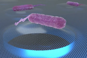 An artistic depiction of a single bacterium on a graphene membrane