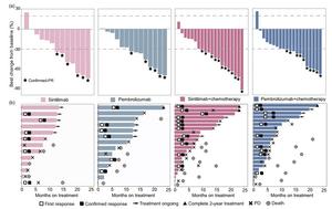 The best change in target lesion size and treatment duration for all patients are illustrated in waterfall and swimmer plots