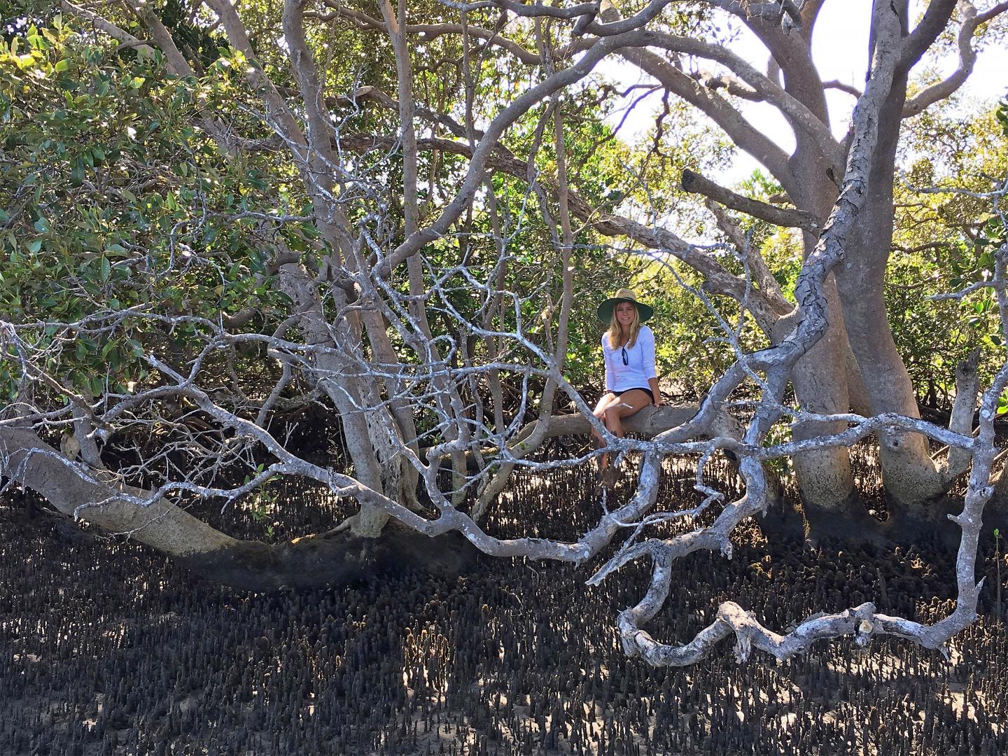 Will Methane Emissions from Mangrove Sediments Offset Mangroves' Carbon Dioxide Storage? (6 of 7)