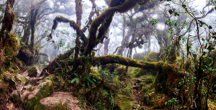 Mt. Bawakaraeng