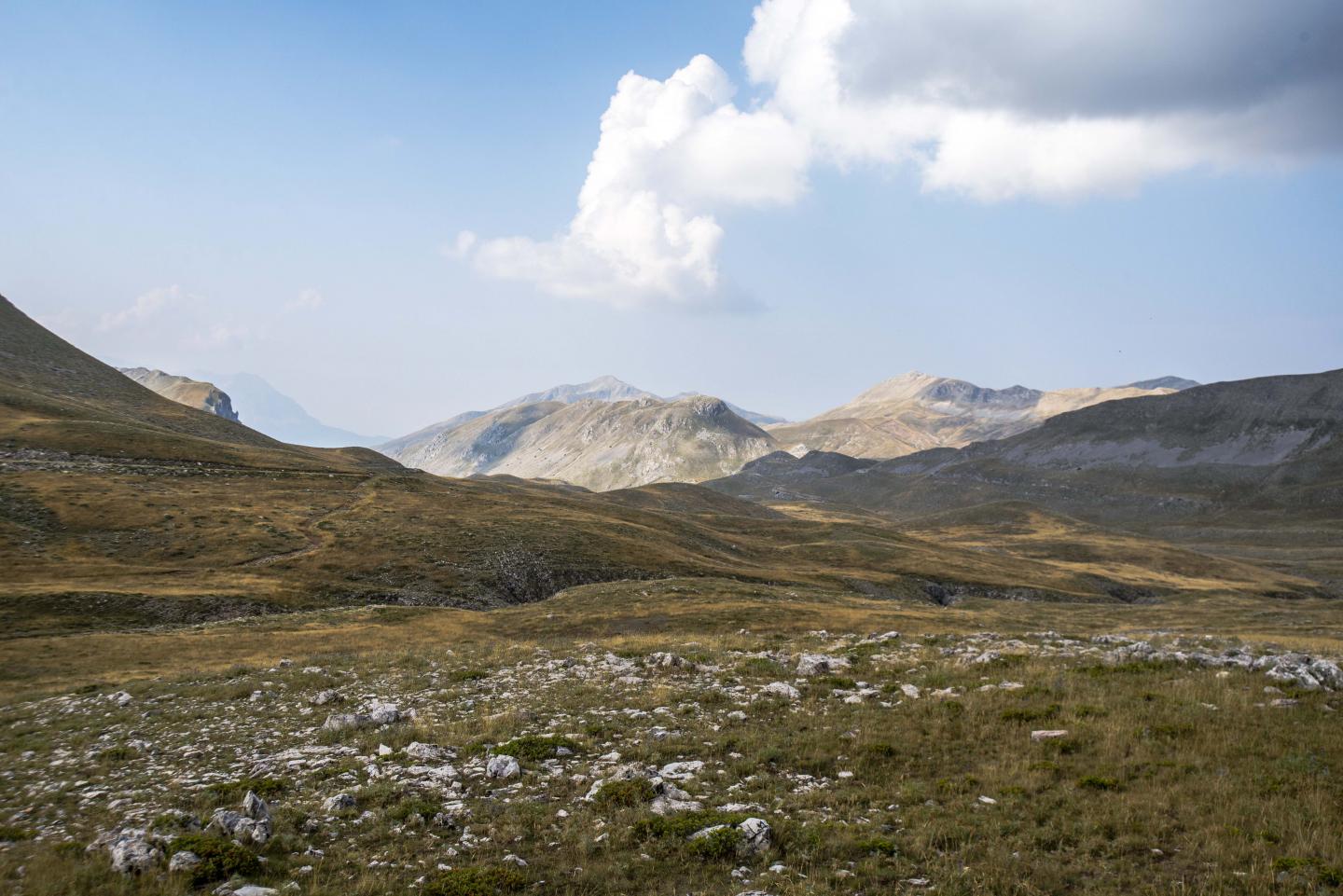 Grasslands at Lakmos Mountain in Greece