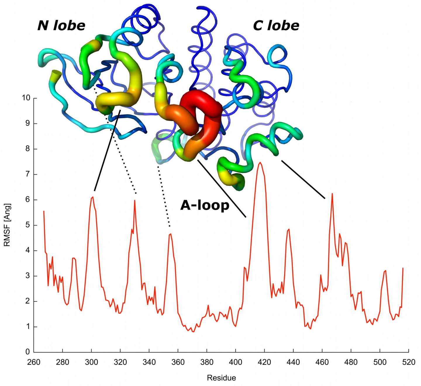 New Algorithm Predicts Dynamic Language of Proteins