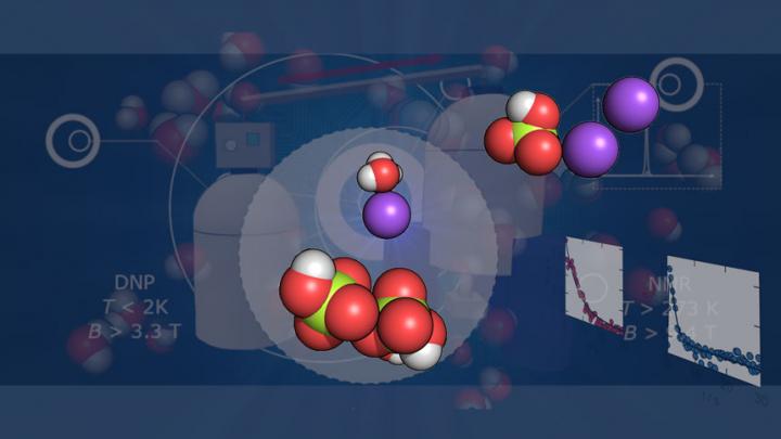 Calcium and Phosphate Ions