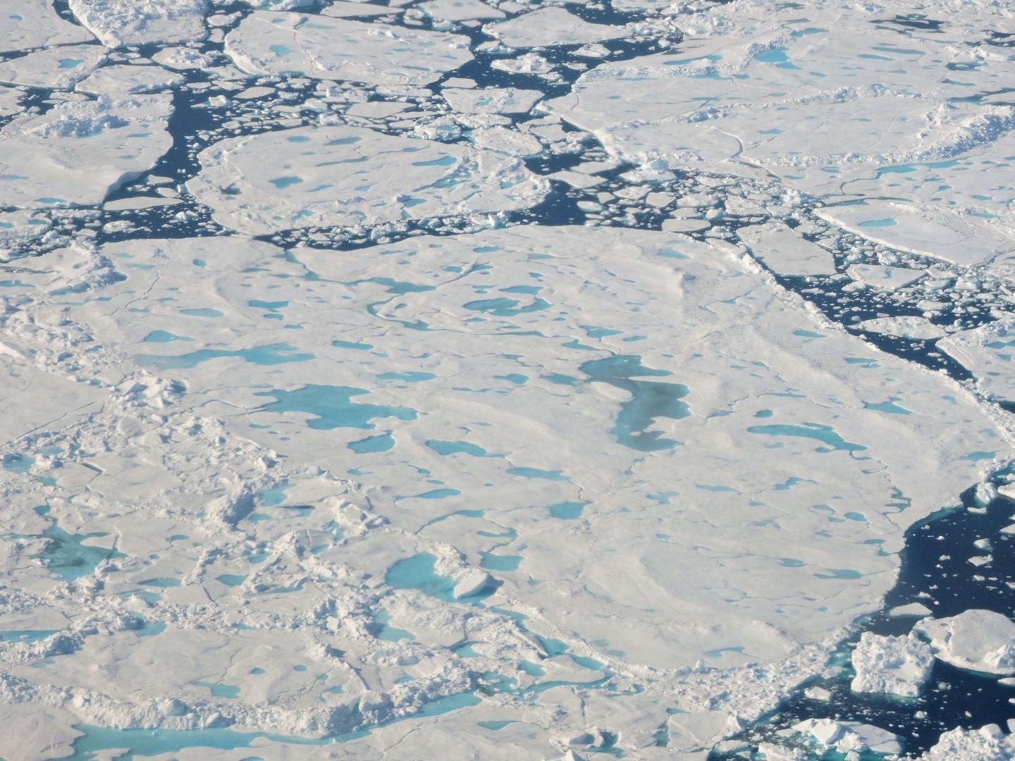 NASA Scientists Seek to Improve Sea Ice Predictions