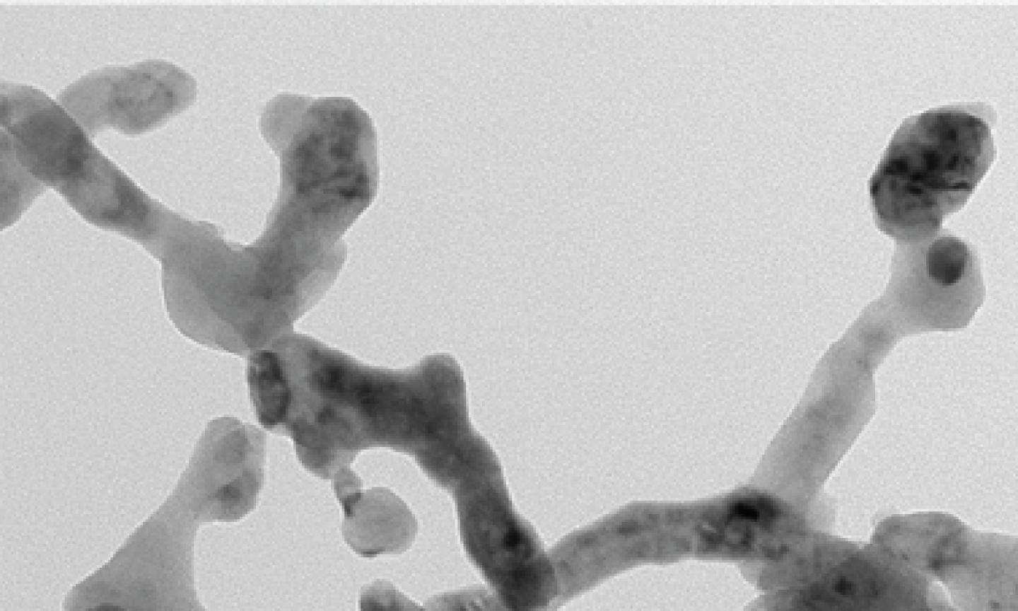 Double Perovskite Nanofiber Catalyst