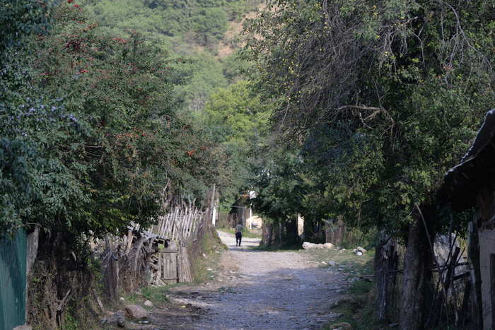 Home gardens in Central Asia (1)