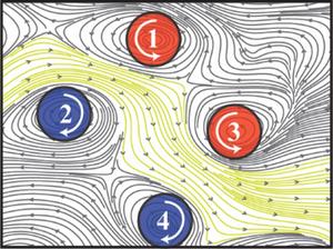 Multiple interacting spirals organise brain activity flow