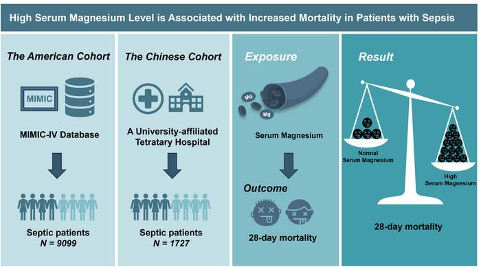 High serum magnesium level is associated with increased mortality in patients with sepsis