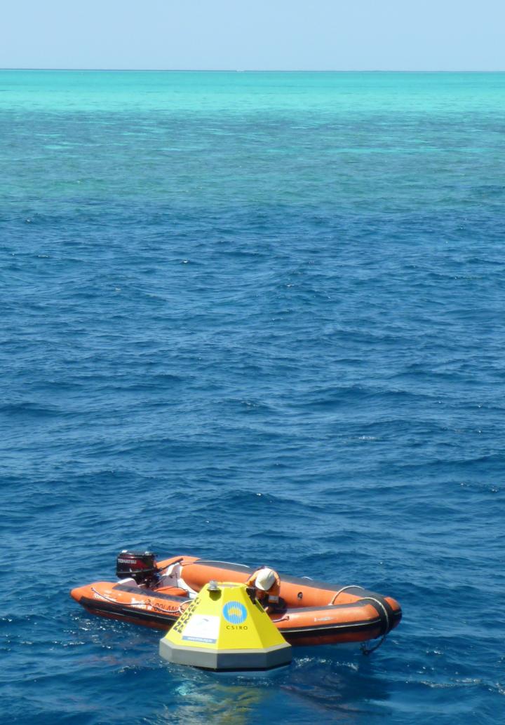 Heron Island Mooring