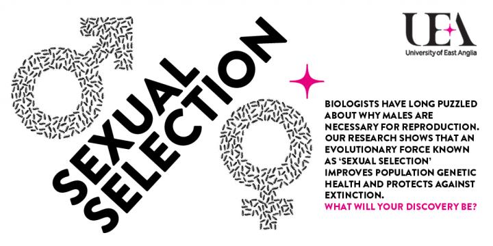 Population Benefits of Sexual Selection Explain the Existence of Males