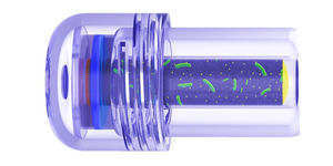 Ingestible battery