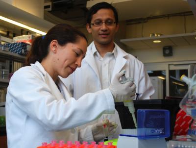 Vihang Narkar and Sabina Lorca, University of Texas Health Science Center at Houston