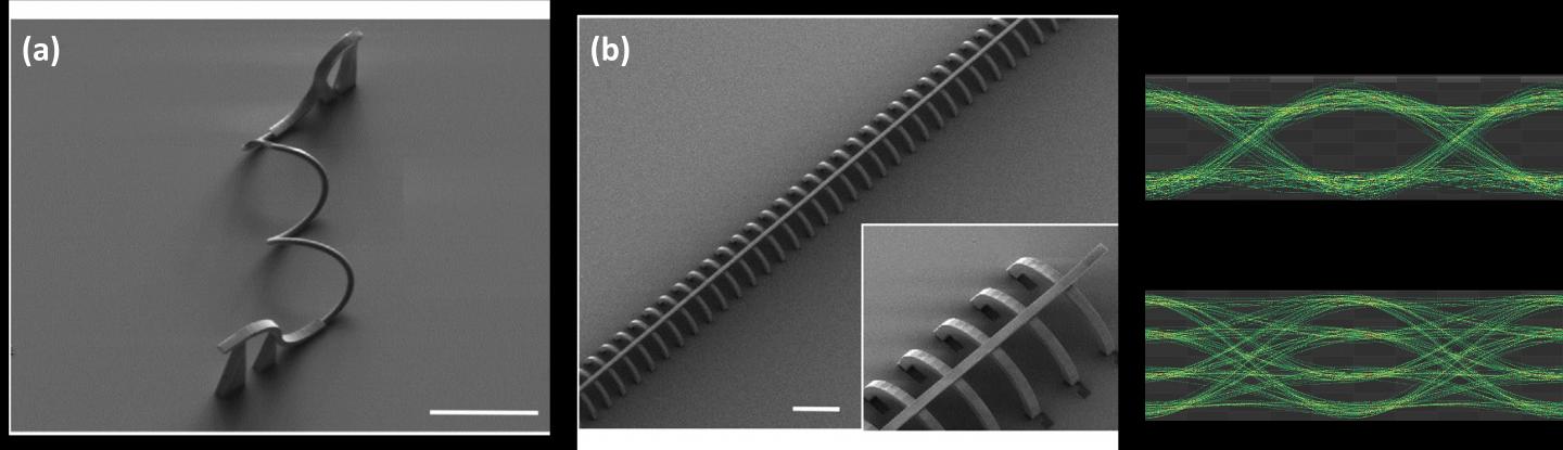 SEM images of fabricated waveguide devices.