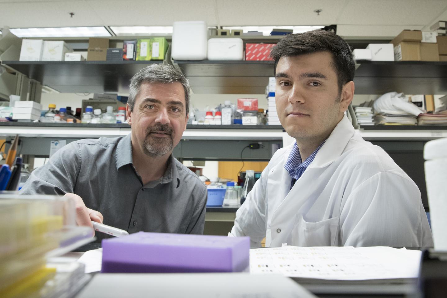 Discovery Reveals How Obesity Causes Disease -- and two Ways to Stop It