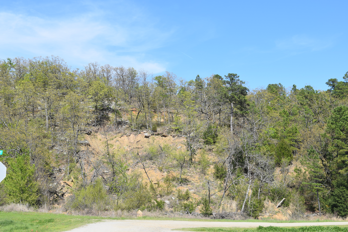 Photo of a landslide prone area in the Ouachita Mountains