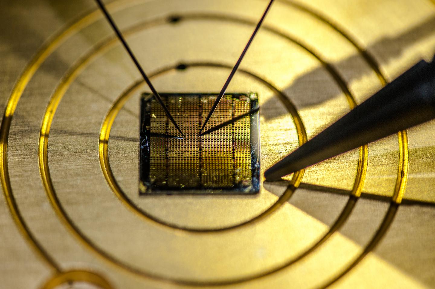 A Gold Microchip