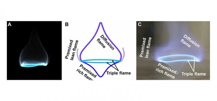 Blue whirl flame structure