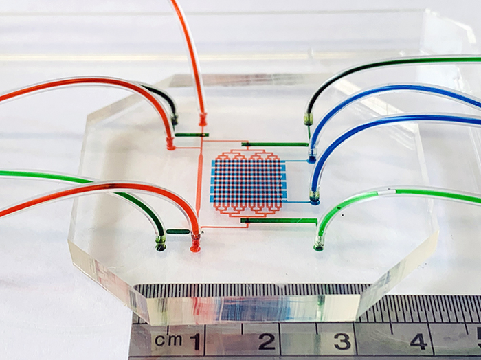 The multifluidic device that emulates an embryo's beating heart