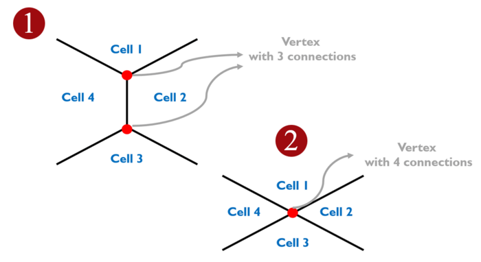 Number of vertices decide cell integration