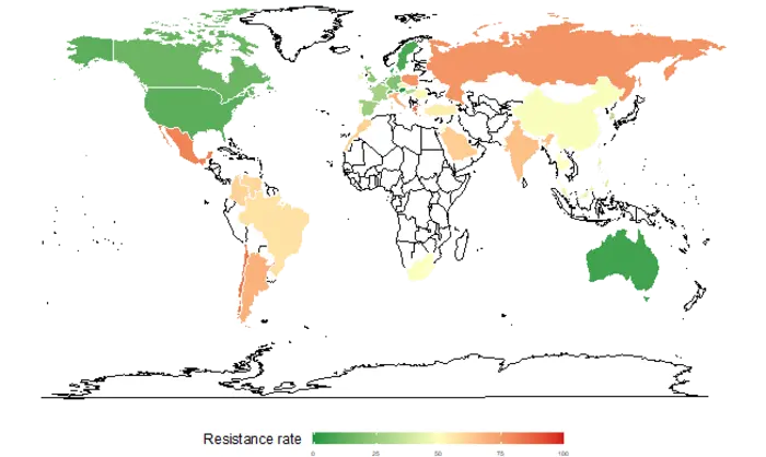 Proportion of third-generation cephalosporin resistance in Klebsiella pneumoniae