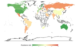 Proportion of third-generation cephalosporin resistance in Klebsiella pneumoniae