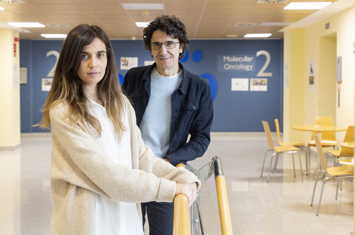 CNIO researchers Marcos Malumbres and Carolina Villarroya (together), and Miguel Urioste, at the CNIO