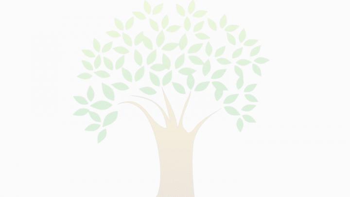 Impersonation Animation