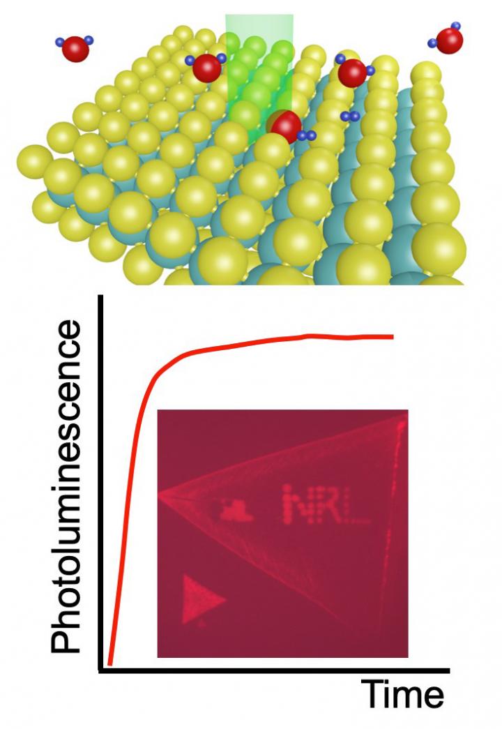 Monolayer Molybdenum Disulphide (MoS2)