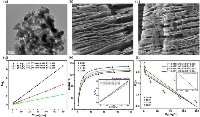 Nanoconfined Materials Developed for Efficient Fluoride Removal from Water