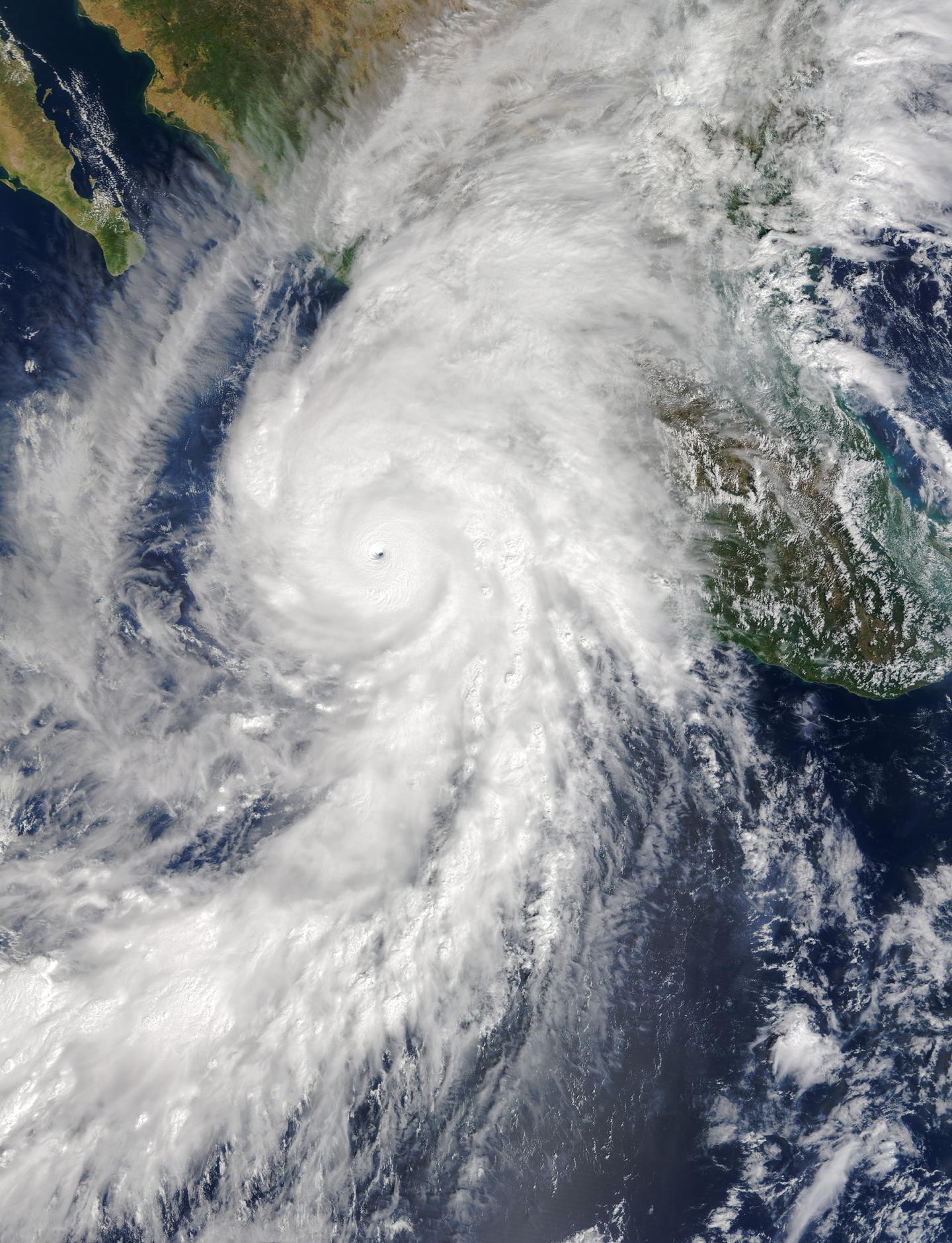 Hurricane Patricia