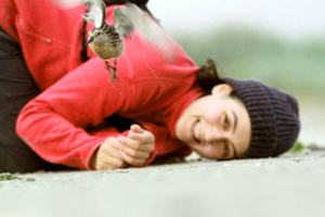 Selin Ersoy releasing a red knot with a tiny, temporary transmitter on its back.