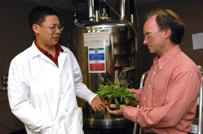 Tracking a Herbicide with High-Resolution NMR