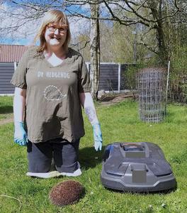 Sophie with hedgehog and robotic lawn mower 1