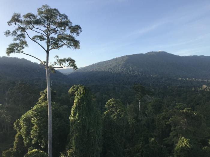 Maliau Basin Conservation Area