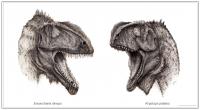 2 Cretaceous Predators