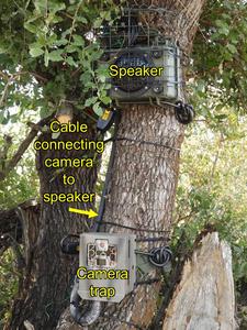 Automated camera-speaker