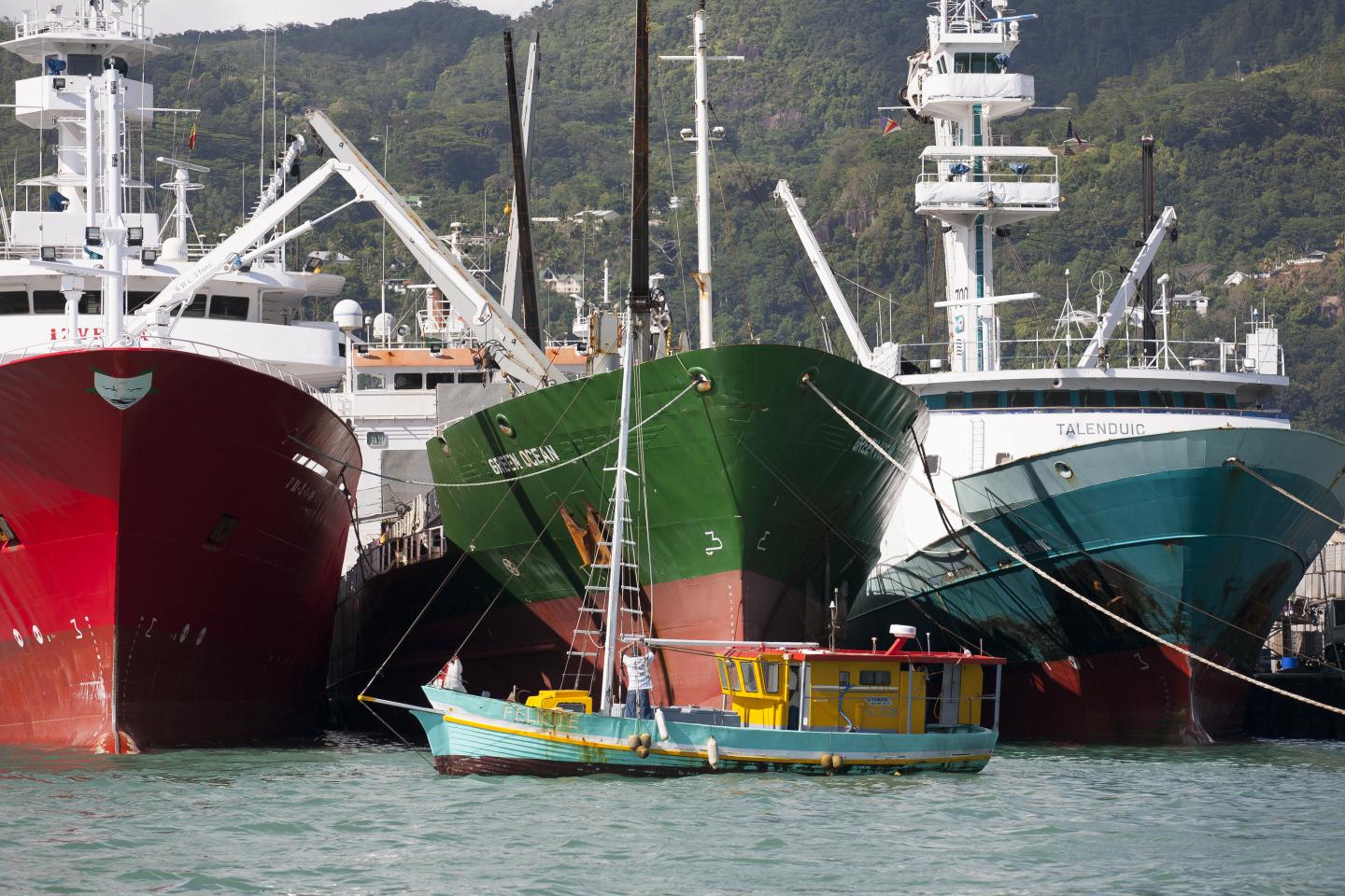 In Seychelles, artisanal and industrial fisheries coexist.