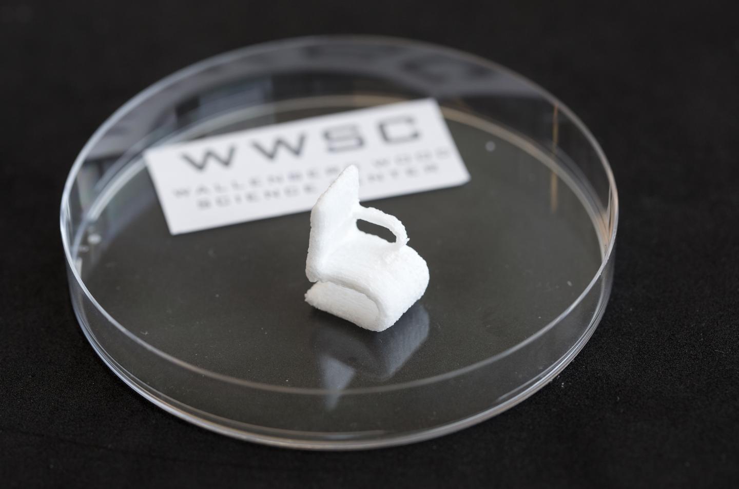 A Cellulose Object Printed using a 3-D Bioprinter