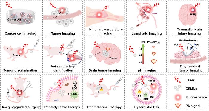 Figure 3. CSMNs for NIR PTs.