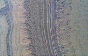 Spectral color map from the CRISM instrument on Mars Reconnaissance Orbiter