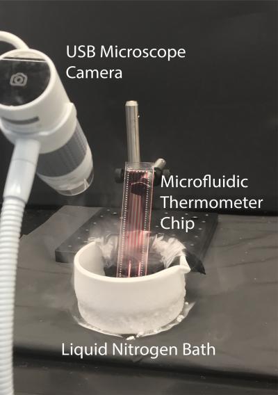 'Chronoprints' Identify Samples by How they Change Over Space and Time