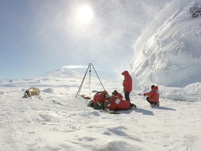A collaborative team in Antarctica working with a Weddell seal on a windy day