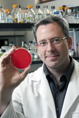 Michael Federle, University of Illinois at Chicago